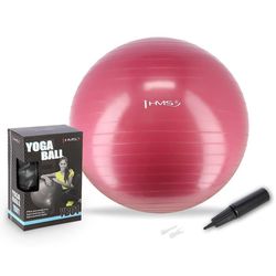 cumpără Minge HMS 4824 Minge gimnastica d=65cm cu pompa Plum YB01 (17-42-162) în Chișinău 