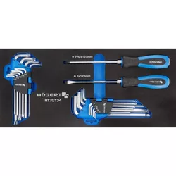 купить Набор ручных инструментов Hoegert HT7G134 набор отверток и L-образных ключей HEX и TORX, 20 предм. в Кишинёве 