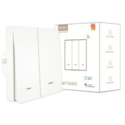 купить Выключатель электрический Moes ZS-SR-EU2-WH-MS в Кишинёве 