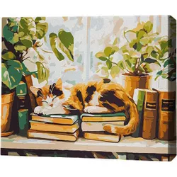 купить Картина по номерам BrushMe RMG0042FC 30x40сm (fără cutie) Somn printre cărți в Кишинёве 