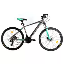 cumpără Bicicletă Crosser SOLO 29" 21 21S Shimano+Logan Hidraulic/29" 075-C-21 Grey/Green N1-R7 în Chișinău 