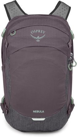 купить Рюкзак городской Osprey Nebula 32 Graphite/Purple (810165743922) в Кишинёве 