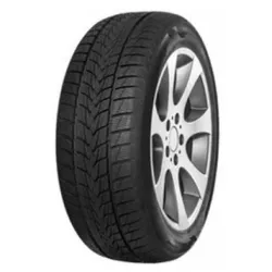 cumpără Anvelopă Tristar 205/55 R17 95V SNOWPOWER UHP XL în Chișinău 