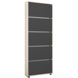 купить Полка для обуви Mobildor-Lux Leo Slim 90x16x203H cm Sonoma/Anthracite в Кишинёве 