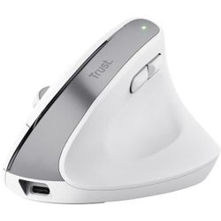 купить Мышь Trust TR25399 Bayo+, White в Кишинёве 