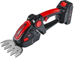 купить Ножницы садовые Red Technic RTANTK0171 Foarfeca de gradina baterie 2in1 21V/2x2AH в Кишинёве 