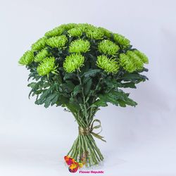 Хризантема крупная зеленая поштучно