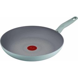купить Сковорода Tefal G0160602 Halo Eucalyptus 28cm в Кишинёве 