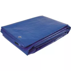 купить Брезент Greentech Брезент 80gr 4x3 blue в Кишинёве 