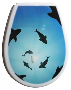 купить Сиденье для унитаза Bisk 80381 LILIA (foto: Delfini) в Кишинёве 