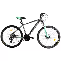 cumpără Bicicletă Crosser SOLO 29" 19 21S Shimano+Logan Hidraulic/29" 075-C-19 Grey/Green N1R7-R2 în Chișinău 