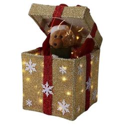 cumpără Figurină cu lumină Promstore 56523 Figurina luminoasa Urs în cutie, 50LED, 25x25x50cm, timer, 3xAA în Chișinău 