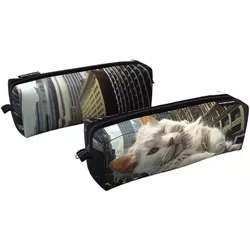 cumpără Penar școlar Erich Krause 62869 Penar Big City Cats în Chișinău 