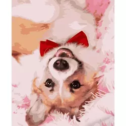 купить Картина по номерам Strateg R 9 / 3 (HH012)(840082) Corgi cu cravata, 40x50 cm в Кишинёве 