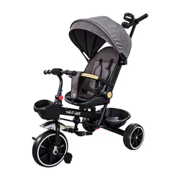 cumpără Bicicletă-cărucior Richi (64699) JTRL39 Tricicleta gri pentru copii în Chișinău 