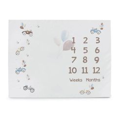 cumpără Covoraș de joacă Ceba Baby W-309-000-641 Covoras Milestone Mat Basic Animals, 92x72cm în Chișinău 