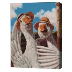 купить Картина по номерам BrushMe DBS1215FC Mozaic cu diamante 40x50сm (fără cutie) Selfie cu gâște, Lucia Heffernan в Кишинёве 