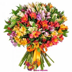 Buchet de 51 alstromerie mix