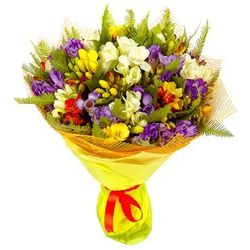 BUCHET DE FRESSIA CULOAREA MIX