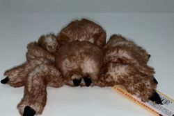 Spider 23x21 cm, cod 42046