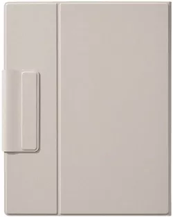 купить Сумка/чехол для планшета BOOX Magnetic Go 10.3 Cover(white/Beige color) в Кишинёве 