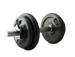 cumpără Ganteră LiveUp LS2311/10/GY 10kg în Chișinău 