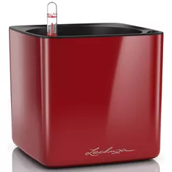 купить Цветочный горшок Lechuza Cube Glossy 16, Scarlet Red в Кишинёве 