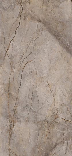 Wild Forest Grey Polished 120x260 cm