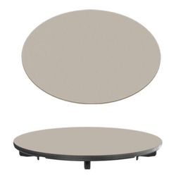 cumpără Accesoriu pentru chiuvete de bucătărie Reginox R41444 Wasteplug cover plate Champagne în Chișinău 