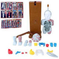 купить Настольная игра Richi (90829) Настольная игра «Человеческое тело» в Кишинёве 