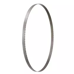 cumpără Accesoriu pentru fierăstrăie DeWalt DT8461-QZ pinza ferestrau DT8461-QZ în Chișinău 