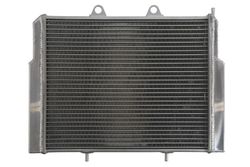 POLARIS RANGER, ACE 500/570/800 2008-2018