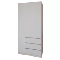 купить Шкаф Smartex (15863) N15 100cm St.Deschis+Kashemir в Кишинёве 
