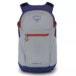 купить Рюкзак городской Osprey Daylite Plus 20 Silver Lining/Bluet в Кишинёве 