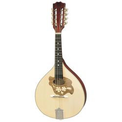 купить Гитара HORA PORT I INTERN - M 1085 mandolina в Кишинёве 