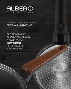 Frypan Polaris Albero-24F