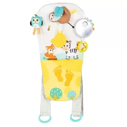 cumpără Organizator auto Chipolino ORGPRO02501 Organizator de jucării și husă de protecție pentru mașină în Chișinău 