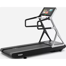 купить Беговая дорожка Technogym 4810 Run Personal (max.160kg) в Кишинёве 