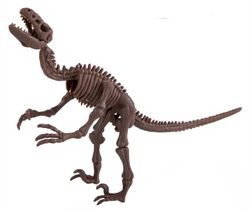 cumpără Set de creație 4M 00-13234 Velociraptor Skeleton în Chișinău 