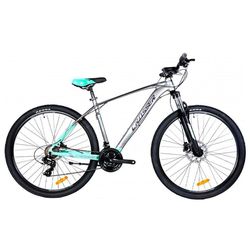 cumpără Bicicletă Crosser X880 29" 19 21S Shimano+Logan Hidraulic Grey/Green în Chișinău 