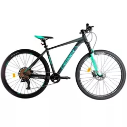 cumpără Bicicletă Crosser 075-C 29" 19 1*12 LTWOO Logan Brake Grey/Green în Chișinău 
