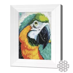 купить Картина по номерам Art Gallery JS25438 Mozaic cu diamante 20x30cm Papagal Ara в Кишинёве 