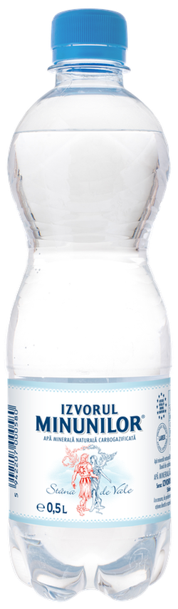 Izvorul Minunilor 0.5L газированная 12 шт