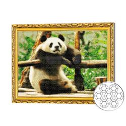 купить Картина по номерам Art Gallery GA80264 Mozaic cu diamante 40x50cm Panda dragut в Кишинёве 