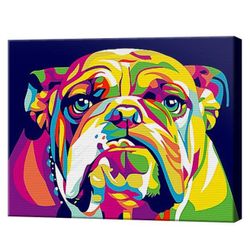купить Картина по номерам Art Gallery CX3228 20x30cm Bulldog curcubeu в Кишинёве 