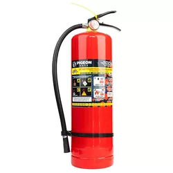 cumpără Accesoriu auto Pigeon Stingator SP-6 (6 kg) în Chișinău 