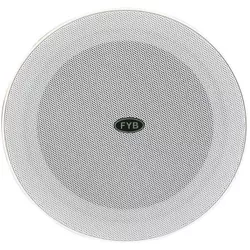 купить Профессиональная колонка FYB FYC-108 Difuzor de tavan 6W/10W в Кишинёве 