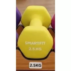 купить Гантель miscellaneous 1726 Gantera mat 2.5kg DG (DBN003) в Кишинёве 