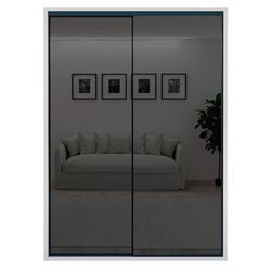 купить Шкаф Bayro Parma Graphite 1600x2250x600 белый, купе в Кишинёве 