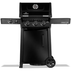 купить Мангал Napoleon Gratar pe gaz Freestyle 365 cu aragaz lateral (F365DSBPK-1-CZ) в Кишинёве 
